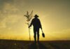 Silhouette of a person holding a young tree and a shovel against a sunset