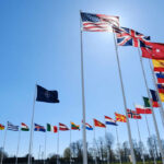 U.S. Taxpayers Furious: NATO Allies Fail Test Many national flags flying in clear blue sky