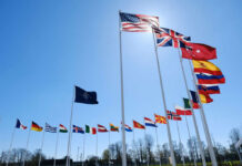 U.S. Taxpayers Furious: NATO Allies Fail Test Many national flags flying in clear blue sky