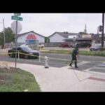 Austin’s ‘Random Shootings’ Chaos – What’s Really Happening? 3 in custody following multiple 'random' shootings in Austin