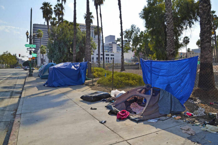 Tents and tarps line sidewalk near palm trees