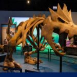 This museum exhibit features Pokémon and real fossils