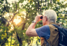Global Fear: Birdwatching Sparks Virus Crisis Senior man using binoculars to observe nature during sunset