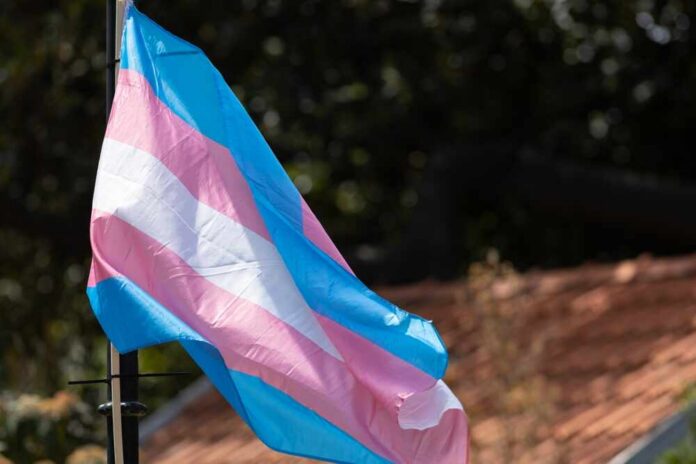 Transgender pride flag waving in the breeze