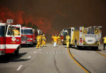 Firestorm Boxes In Cars—Horror In Spain Firefighters battling large wildfire with fire trucks present