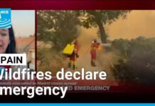 Madrid on Edge: Fires Converge Overnight 'It smells of burning': Thousands evacuated as wildfires rage around Madrid • FRANCE 24 English