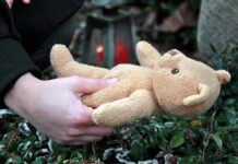 Gene Edit Gone Wrong – Shanghai Lab Tragedy, Where Was Oversight? Hands holding a teddy bear near a grave