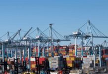 Tariff Dodgers Targeted—Criminal Charges Loom Cranes and shipping containers at a busy port