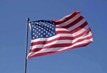 Arena Boos Ignite Reese Firestorm Waving American flag against a clear blue sky