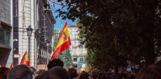 Crowd with Spanish flags in a city street