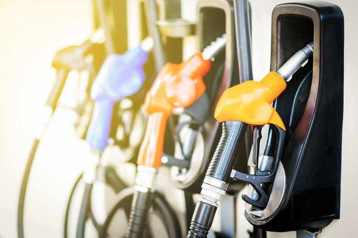 shutterstock_556957450 Fuel pump nozzles at a gas station