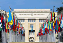 No Threats, Max Lockdown Anyway United Nations building with numerous national flags outside.