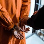 Close-Range Ambush – Jury Slams Insanity Play Prisoner in orange jumpsuit handcuffed by officer
