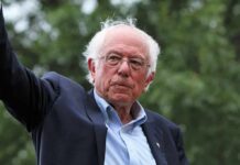 AI Freeze Threat – Bernie, Bannon Unite older man in suit and glasses outdoors