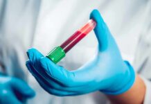 Gloved hand holding a blood sample tube