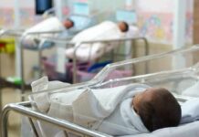 newborns in hospital bassinets