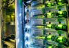 Server rack with network cables and glowing indicator lights